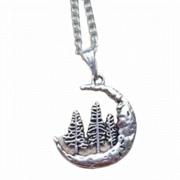 $5 ADD ON NEW 𝅺Moon Nature Celestial Stainless Steel Silver Tone 18” Necklace - Picture 1 of 5